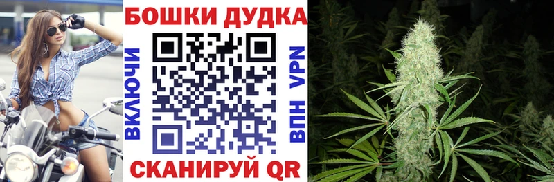Купить закладки  Балаково  Бошки марихуана конопля 